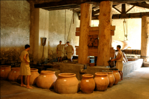 le chai romain et avec le pressoir de Caton