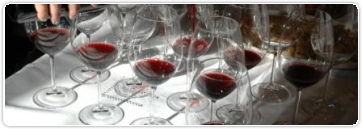 Les arômes du vin (2) – les arômes secondaires