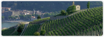 Leçon : le soufre et le vin (1/2)