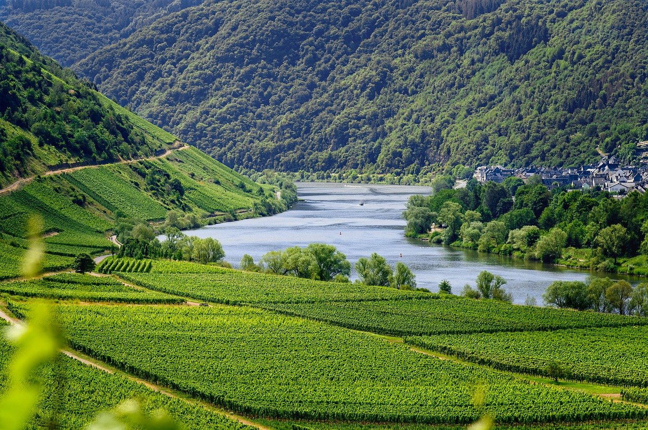 Régions viticoles Europe