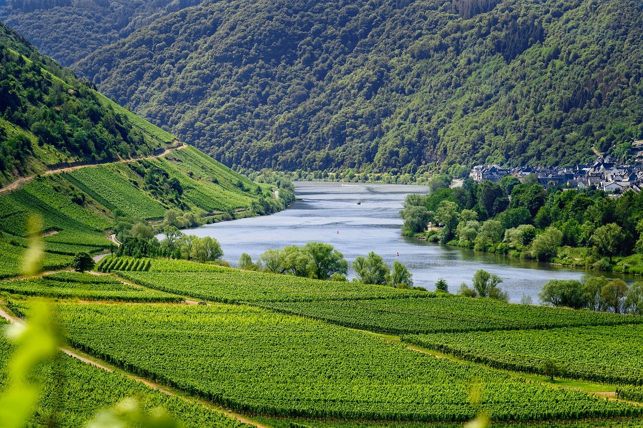 Vins vallée du Rhone