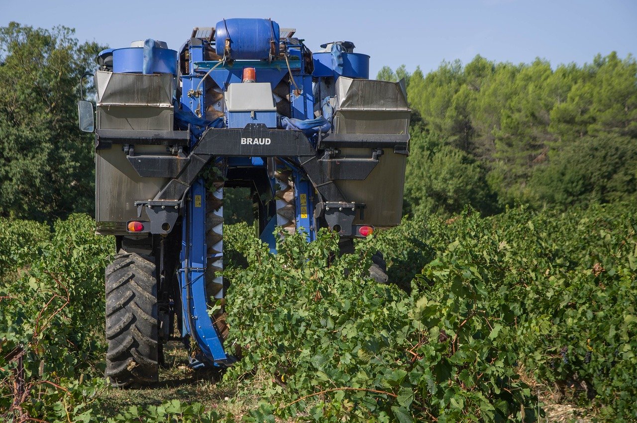 Les vendanges